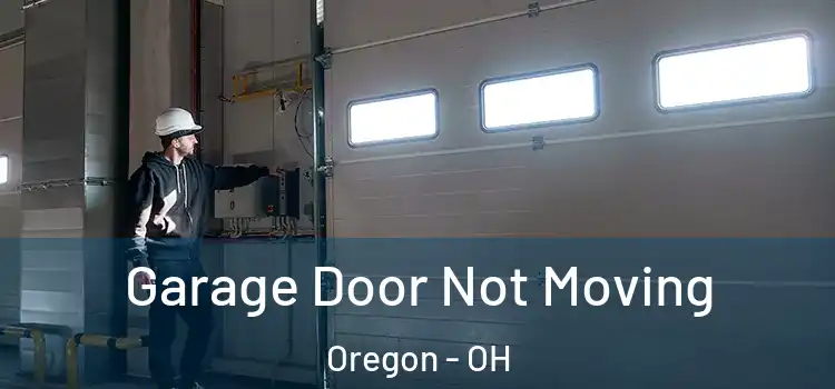  Garage Door Not Moving Oregon - OH