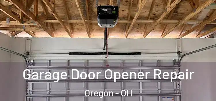  Garage Door Opener Repair Oregon - OH