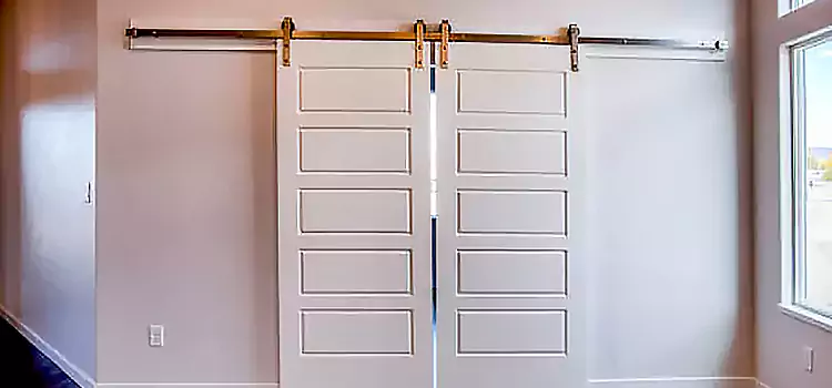 Glass Barn Door with Installation Hardware Kit Oregon