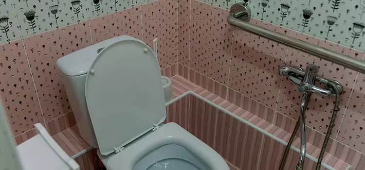 Meeting Diverse Needs With Accessible Restroom Solutions in Oregon, OH