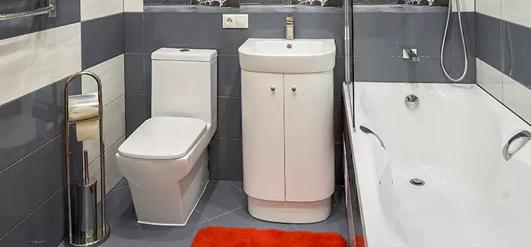Hansgrohe Shaving Mirror Oregon